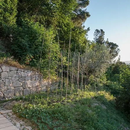 Fortezza Antique Bed & Breakfast 3*
